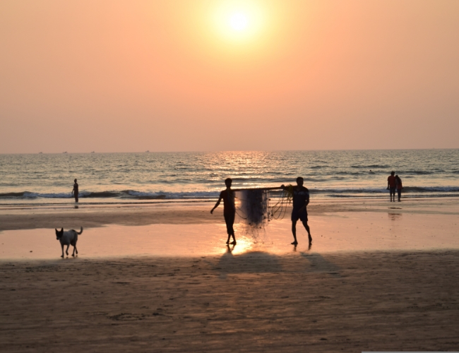EXTENSION PLAYAS DE GOA