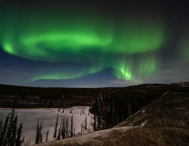 EXPEDICI�N BOREAL