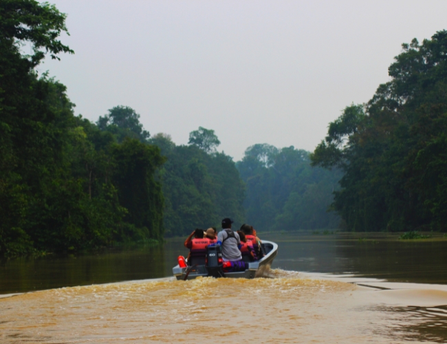 MALASIA Y BORNEO