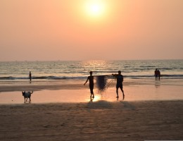 EXTENSION PLAYAS DE GOA