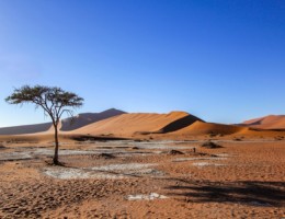 EL SUR DE NAMIBIA