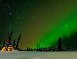 SUEO BOREAL
