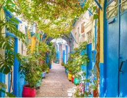 GRAN TOUR CL�SICO DESDE COSTA DEL SOL